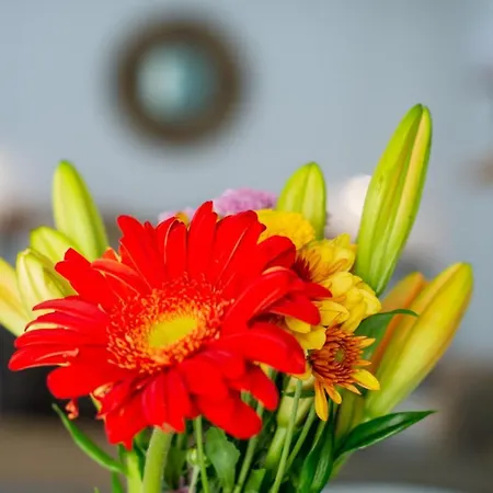 Little Paradise In El Medano 2 Granadilla De Abona