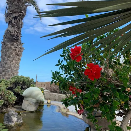 Apartamento Little Paradise In El Medano 2 *