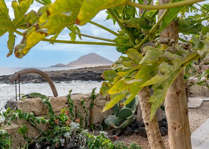 Little Paradise In El Medano 2 شقة غراناديا دي أبونا