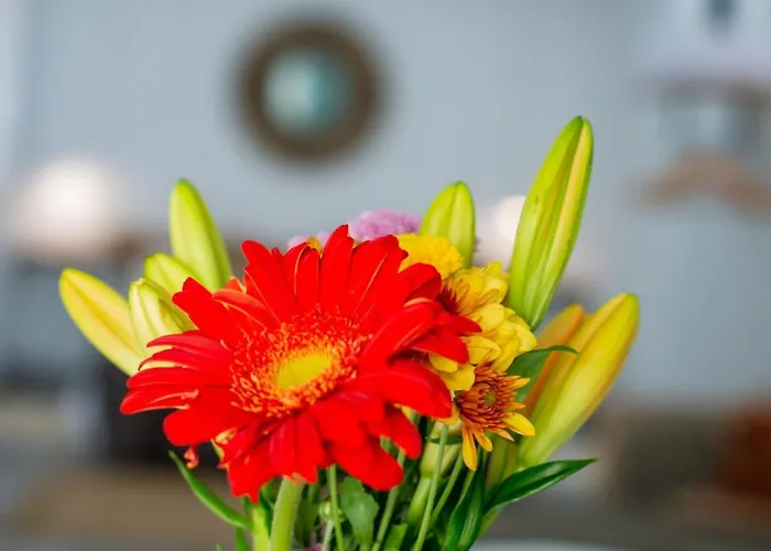 Little Paradise In El Medano 2 غراناديا دي أبونا