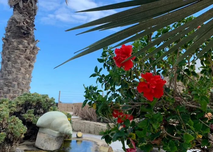 Apartamento Little Paradise In El Medano 2 *